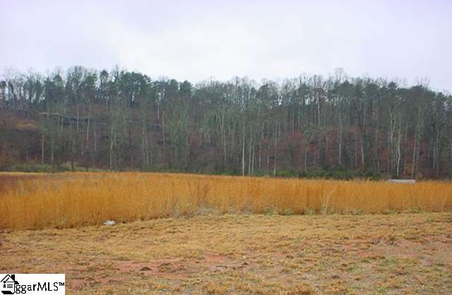 Property image 1 at Lot 59 Downing Way, Landrum, SC 29356
