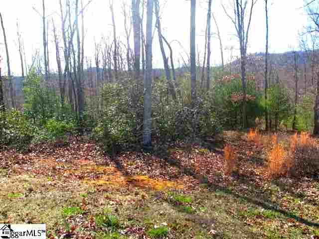 Property image 1 at 6 James Walker Lane, Landrum, SC 29356