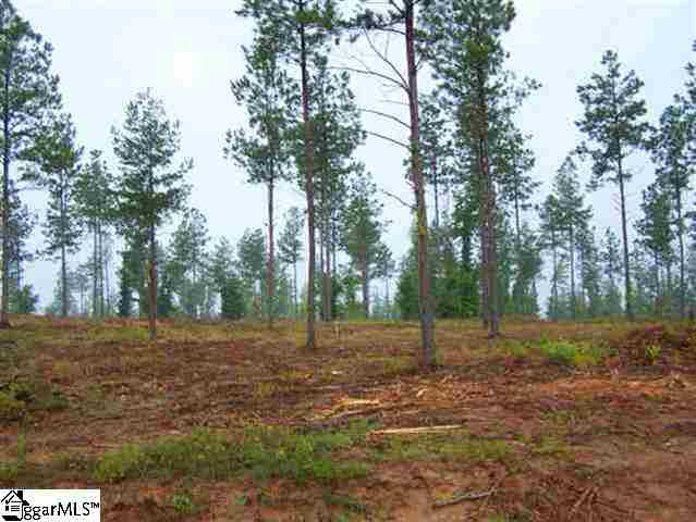 Property image 1 at 0 Stewart Dairy Road, Gray Court, SC 29645