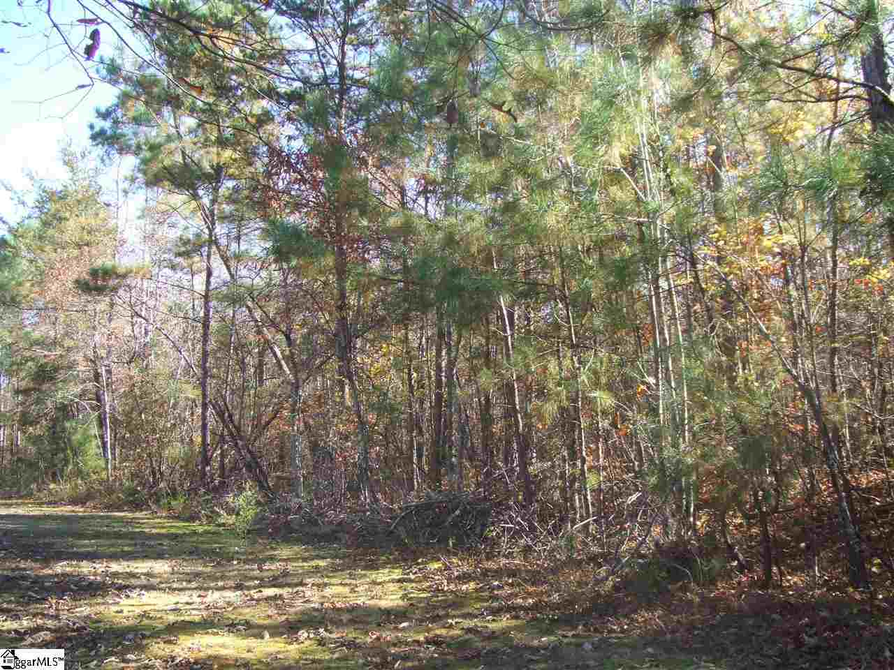 Property image 1 at 0 country club, Pickens, SC 29671