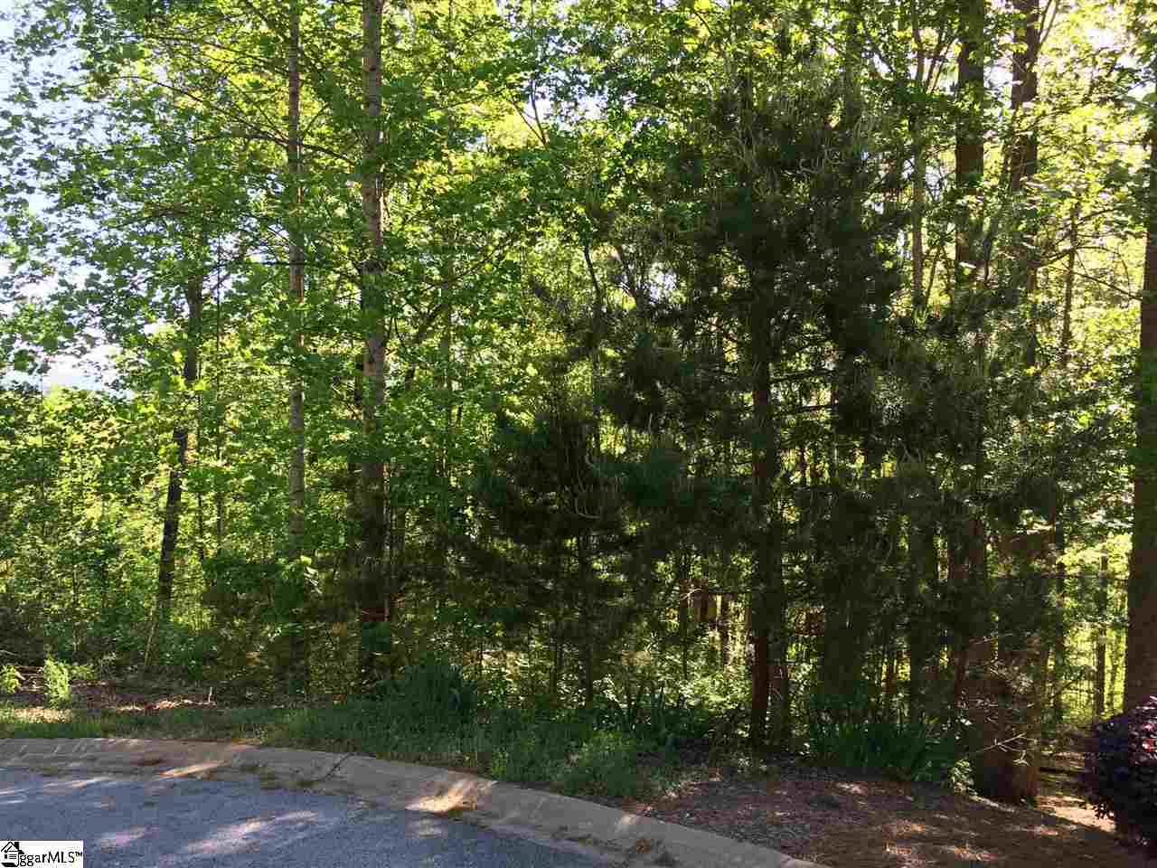 Property image 1 at 16 Savage Court, Travelers Rest, SC 29690