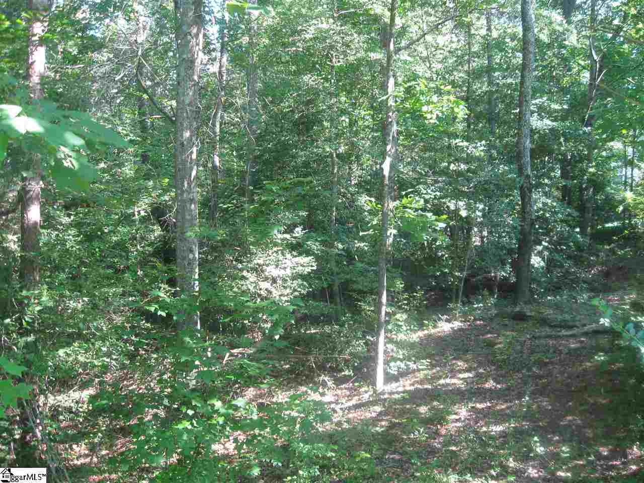 Property image 1 at 106 Prince Williams Court, Simpsonville, SC 29681