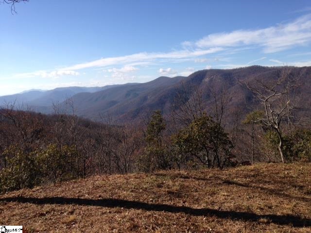 Property at 1506 Panther Park Trail, Travelers Rest, SC 29690