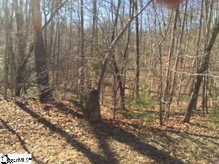 Property image 1 at 802 Scharlin Drive, Pickens, SC 29671