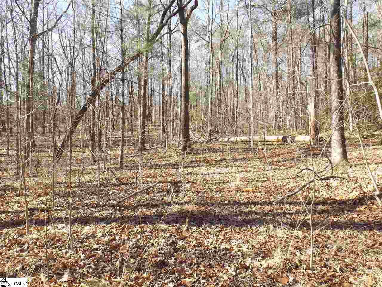 Property image 1 at Tract 6 and 7 Mountain Ridge Estates Road, Cleveland, SC 29635