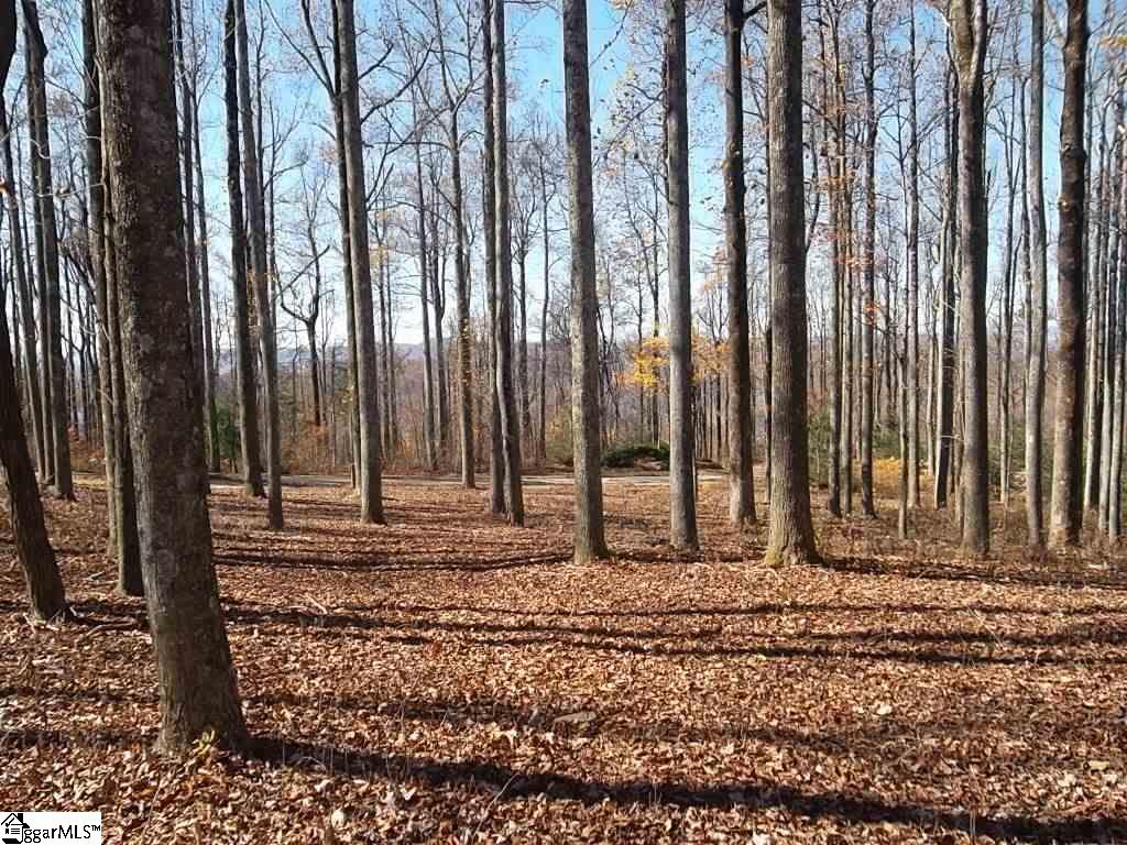 Property image 1 at Cliffsview Court, Zirconia, NC 28790