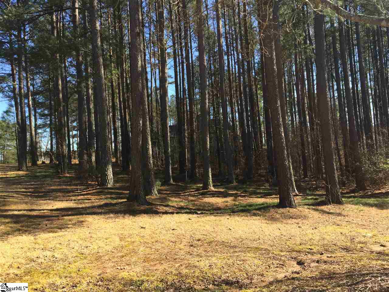 Property image 1 at 309 Meadow Tree Court, Travelers Rest, SC 29690