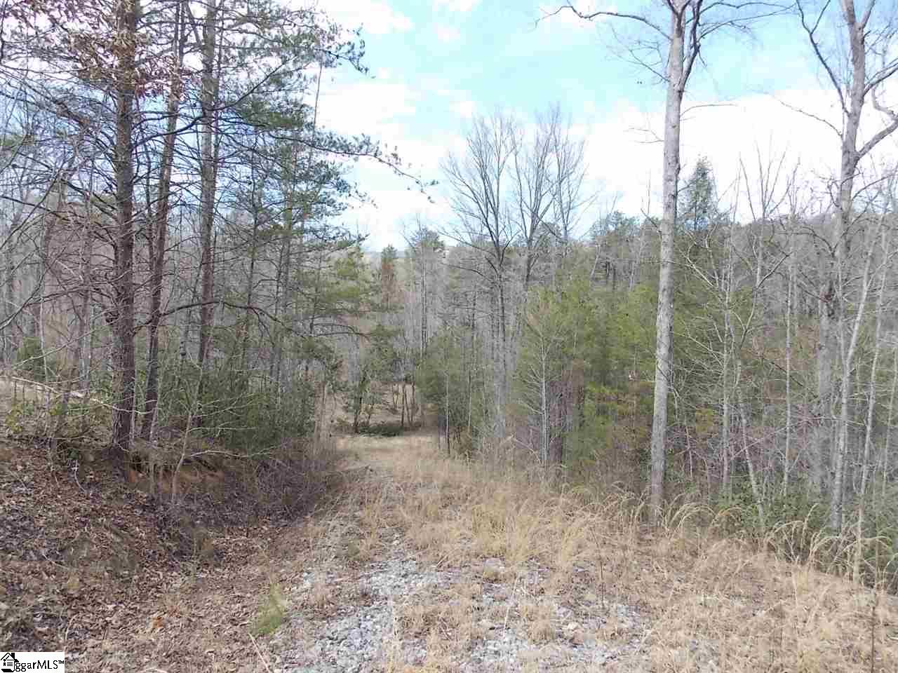 Property image 1 at 100 Wandering Way, Pickens, SC 29671