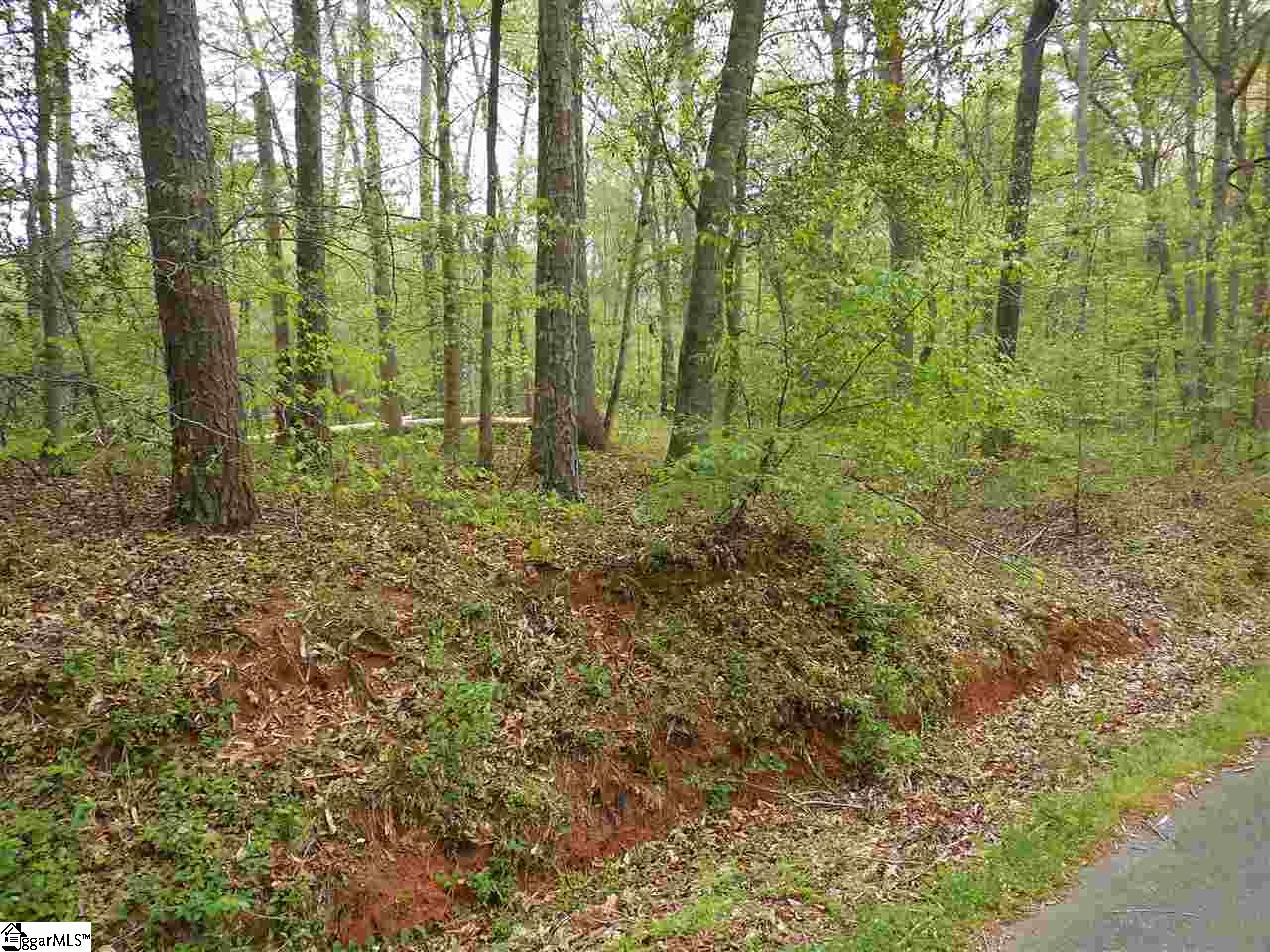 Property image 1 at 0 Manhattan Boulevard, Piedmont, SC 29673