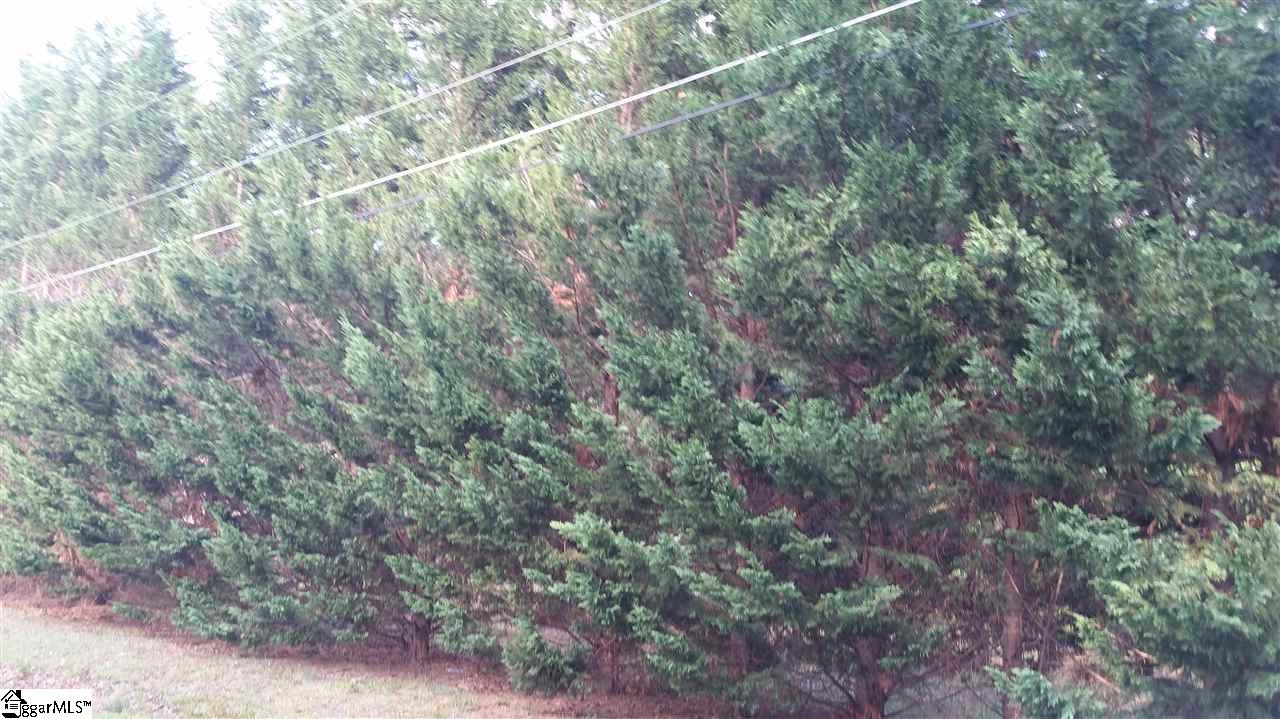 Property image 1 at 218 Barry Drive, Greer, SC 29650