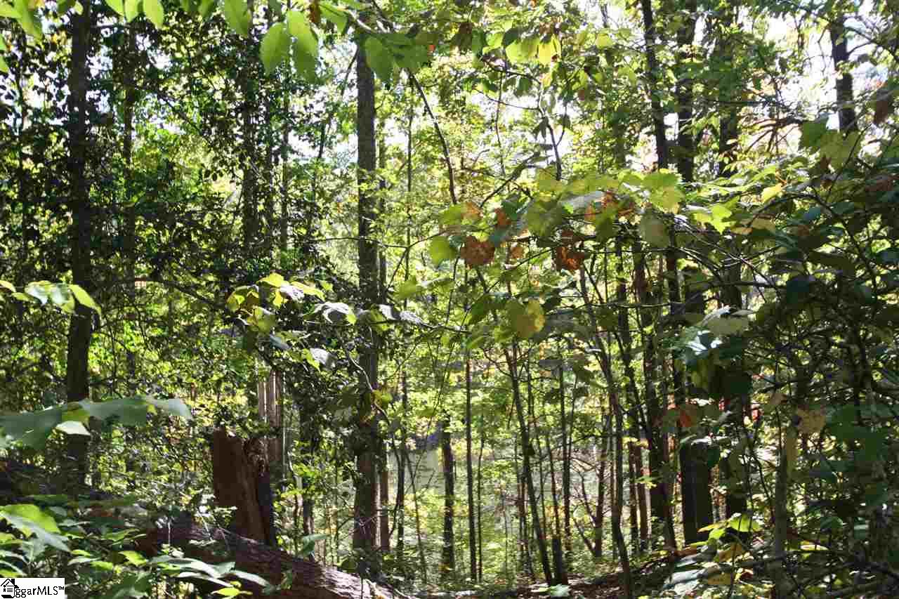 Property image 1 at 35 Blue Gill Drive, Greer, SC 29651