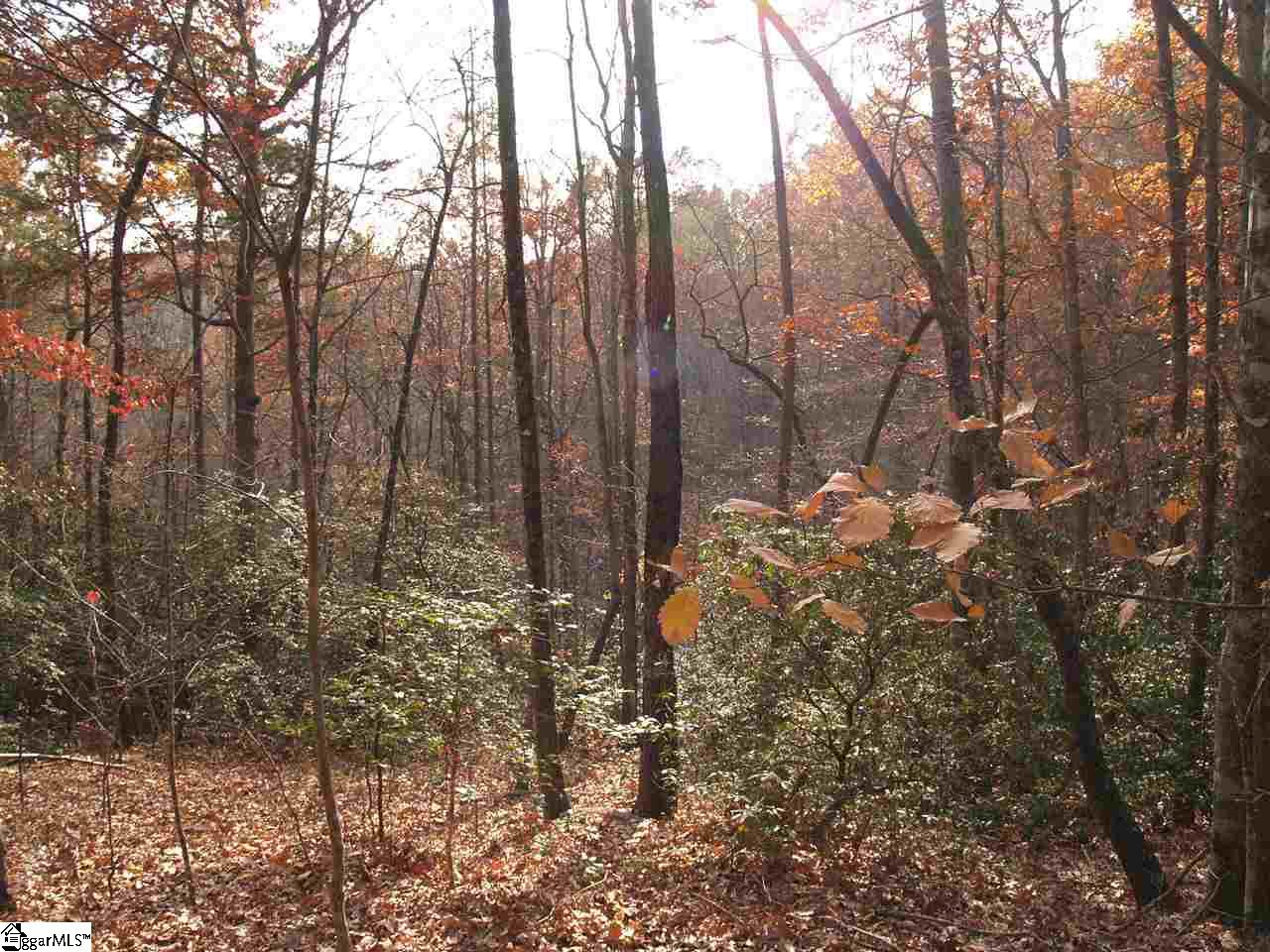 Property image 1 at 0 Treasure Trail, Cleveland, SC 29635