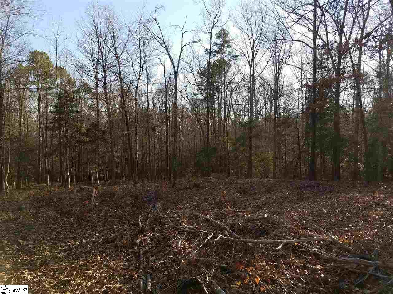 Property image 1 at 26324 Carolina Way, Fountain Inn, SC 29644