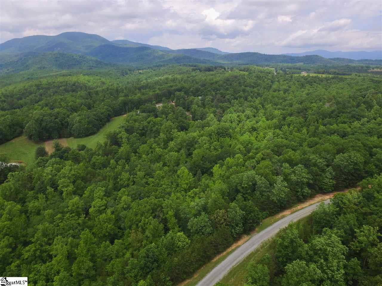 Property image 1 at 00 Pardo Road, Landrum, SC 29356