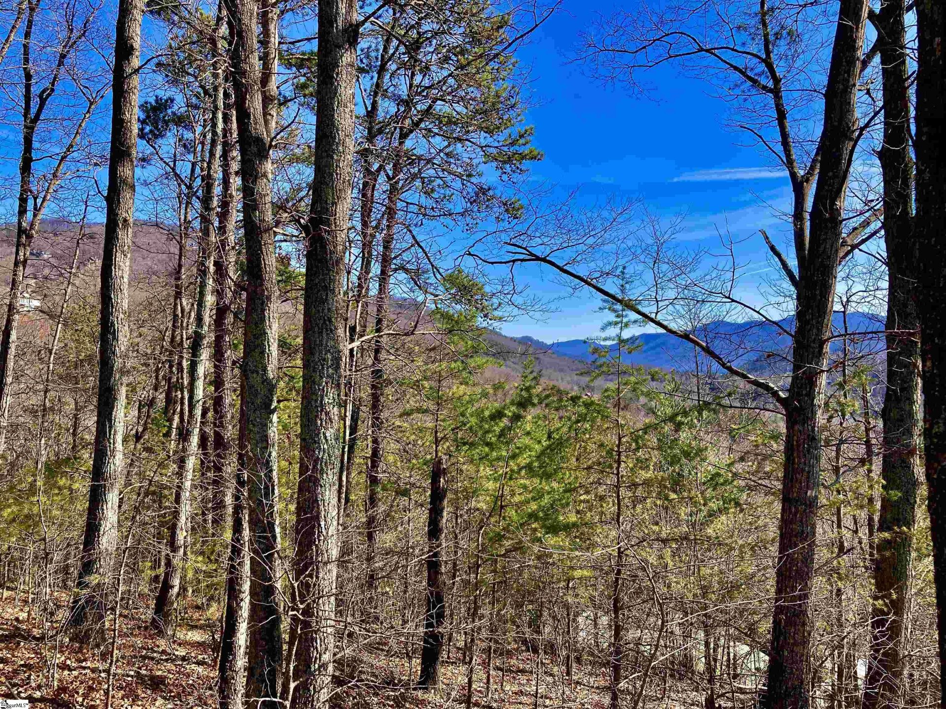 Property image 1 at 345 Mountain Summit Road, Travelers Rest, SC 29690