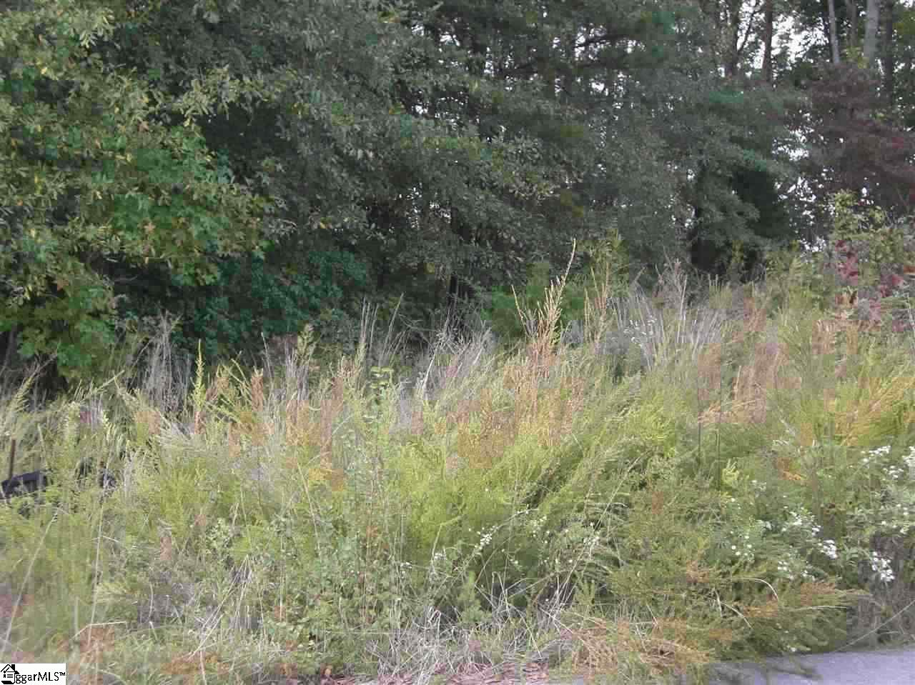 Property image 1 at 124 Crawford Lake Drive, Easley, SC 29642