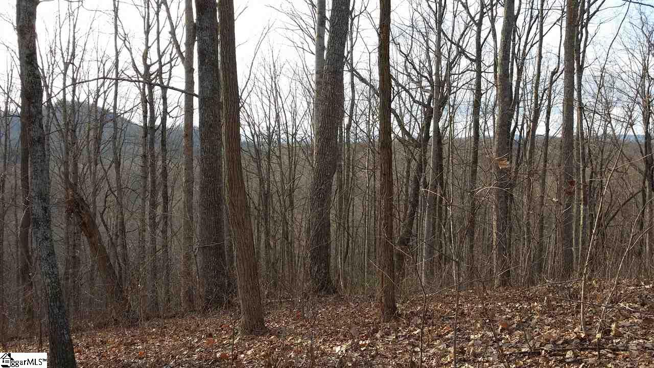Property image 1 at 20 Valley Crest Court, Travelers Rest, SC 29690