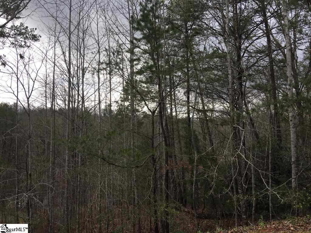 Property image 1 at 00 Emerald Crest Lane, Cleveland, SC 29635
