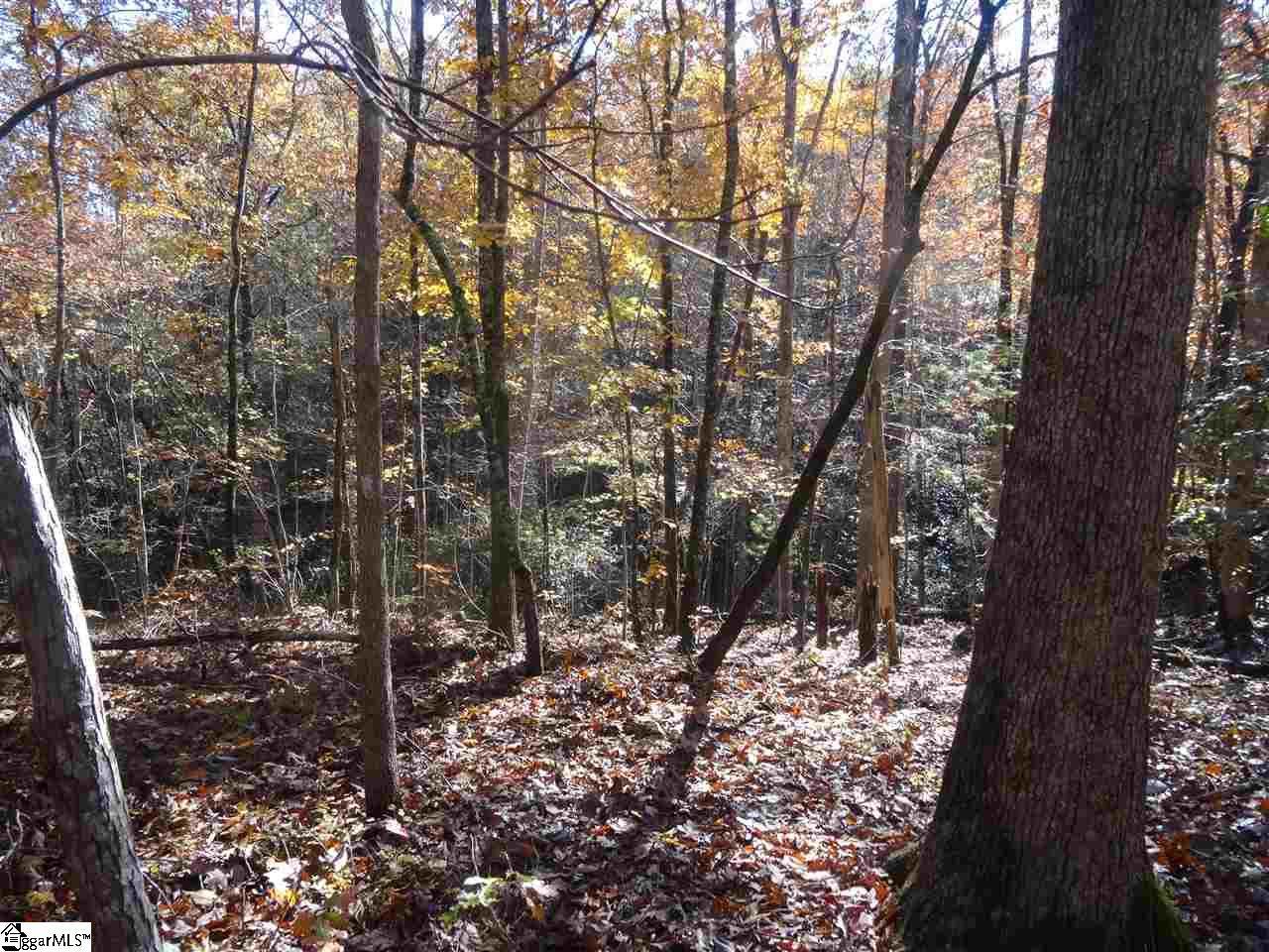 Property image 1 at 408 Doe Run, Pickens, SC 29671