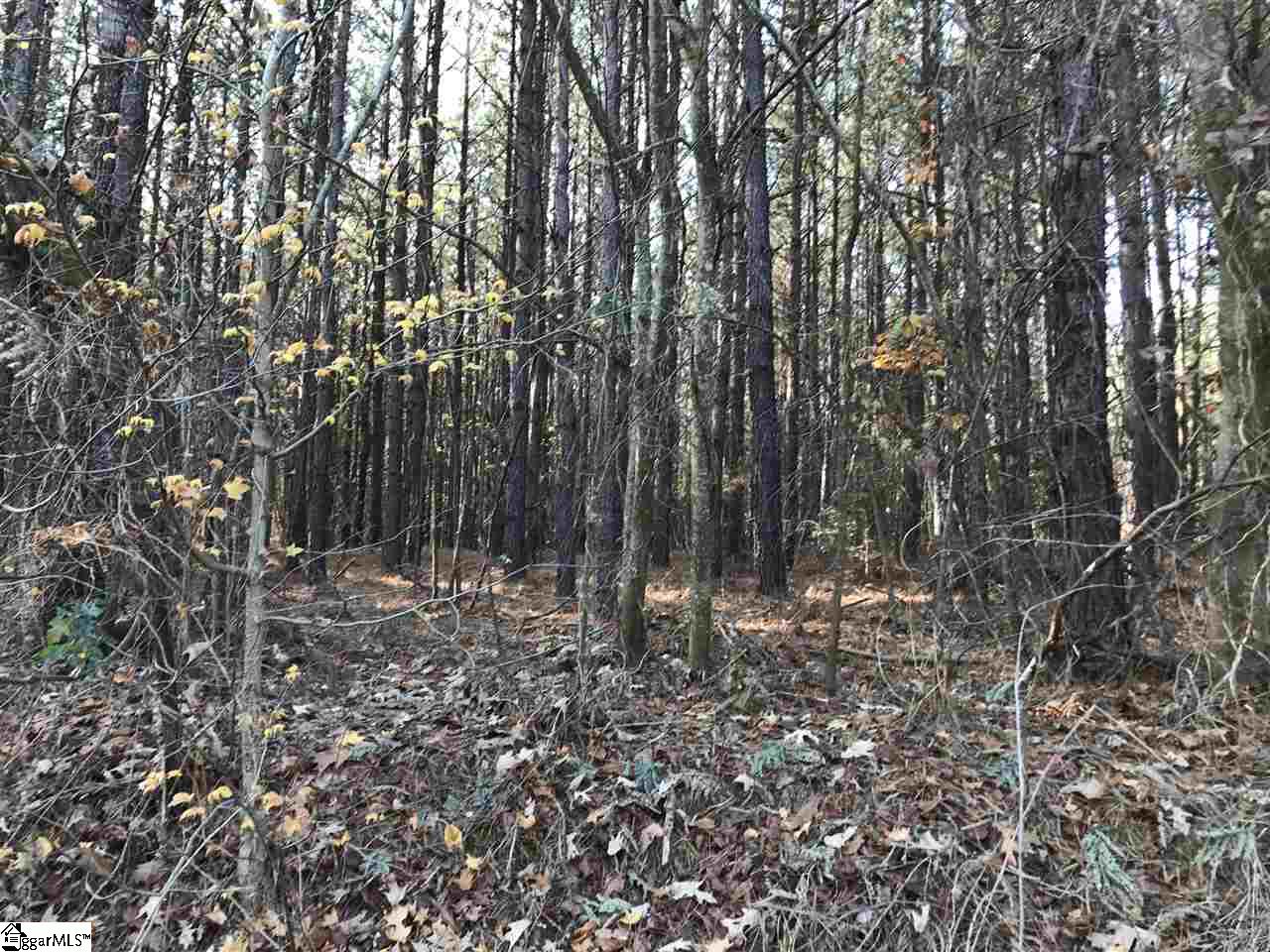 Property image 1 at 862 Dunklin Bridge Road, Fountain Inn, SC 29644