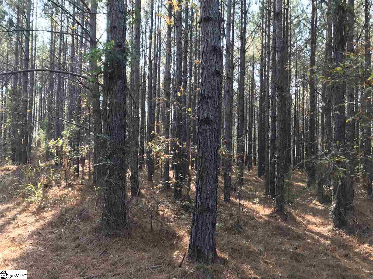 Property image 1 at 872 Dunklin Bridge Road, Fountain Inn, SC 29644