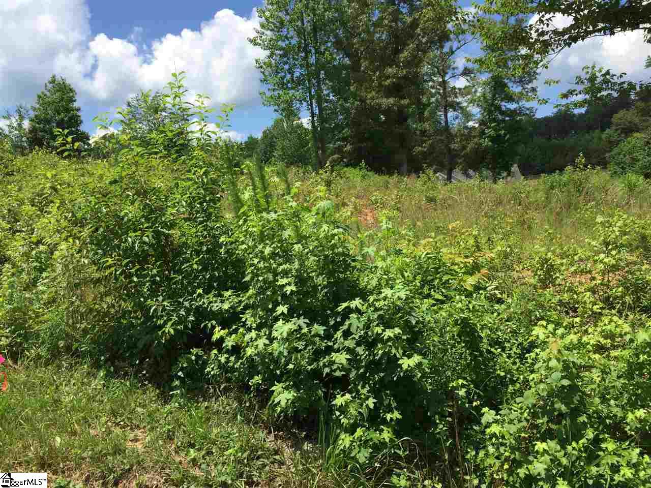 Property image 1 at 230 Lions Park Road, Marietta, SC 29661