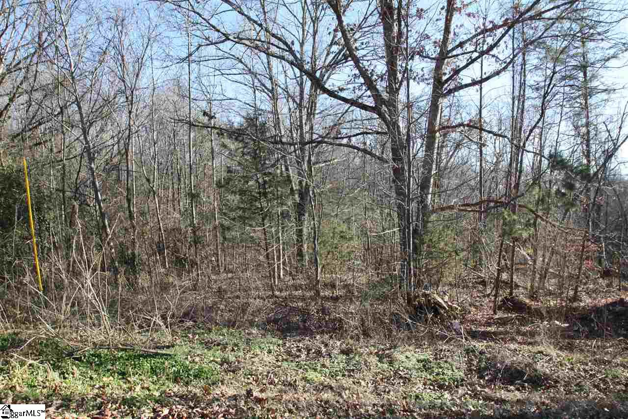 Property image 1 at 0 Lyle Drive, Taylors, SC 29687