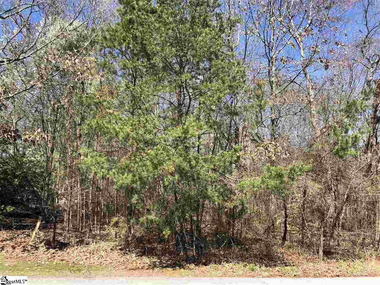 Property image 1 at 0 S Artillery Court, Piedmont, SC 29673