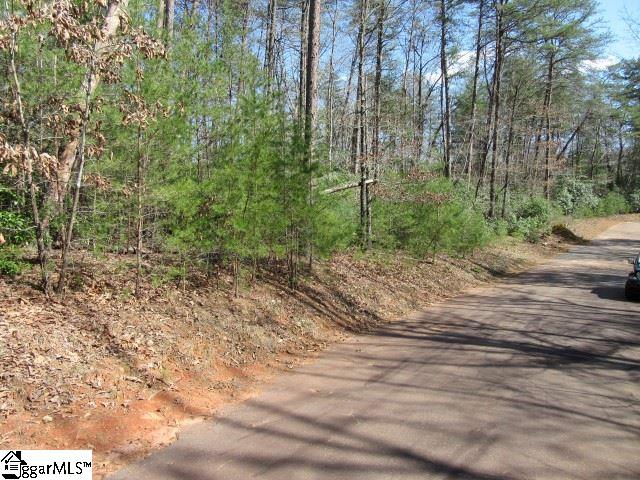 Property image 1 at 107 Woodmere Court, Pickens, SC 29671