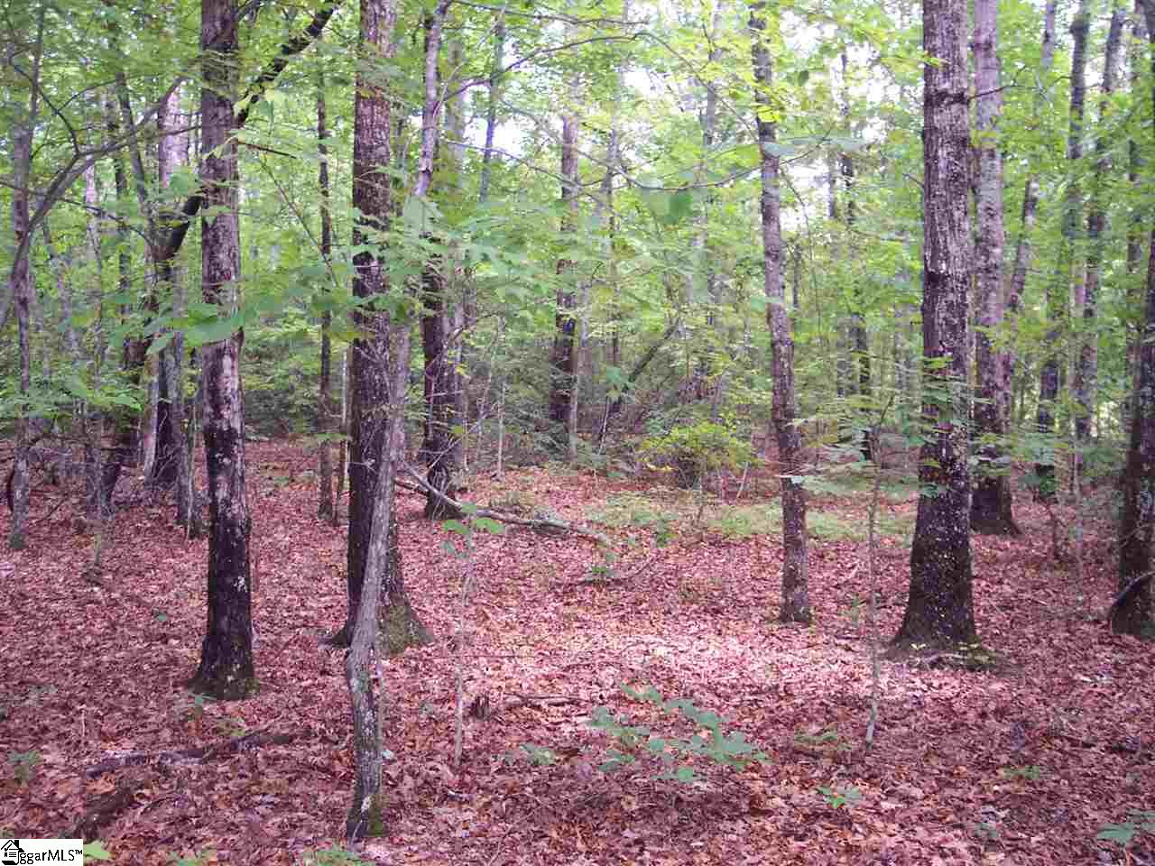 Property image 1 at 00 Shepherd Springs Drive, Cleveland, SC 29635