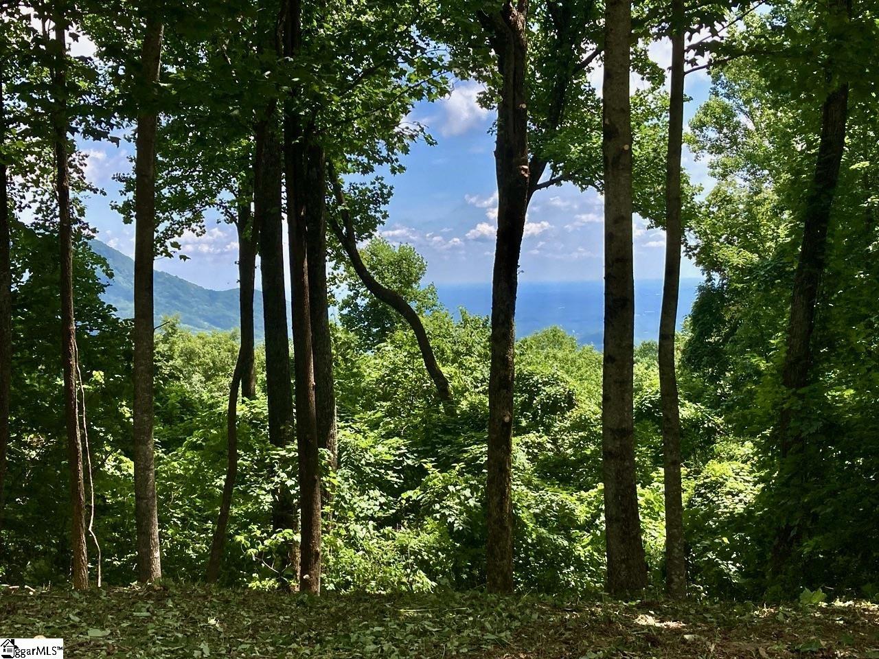 Property at 100 Deep Haven Lane, Landrum, SC 29356