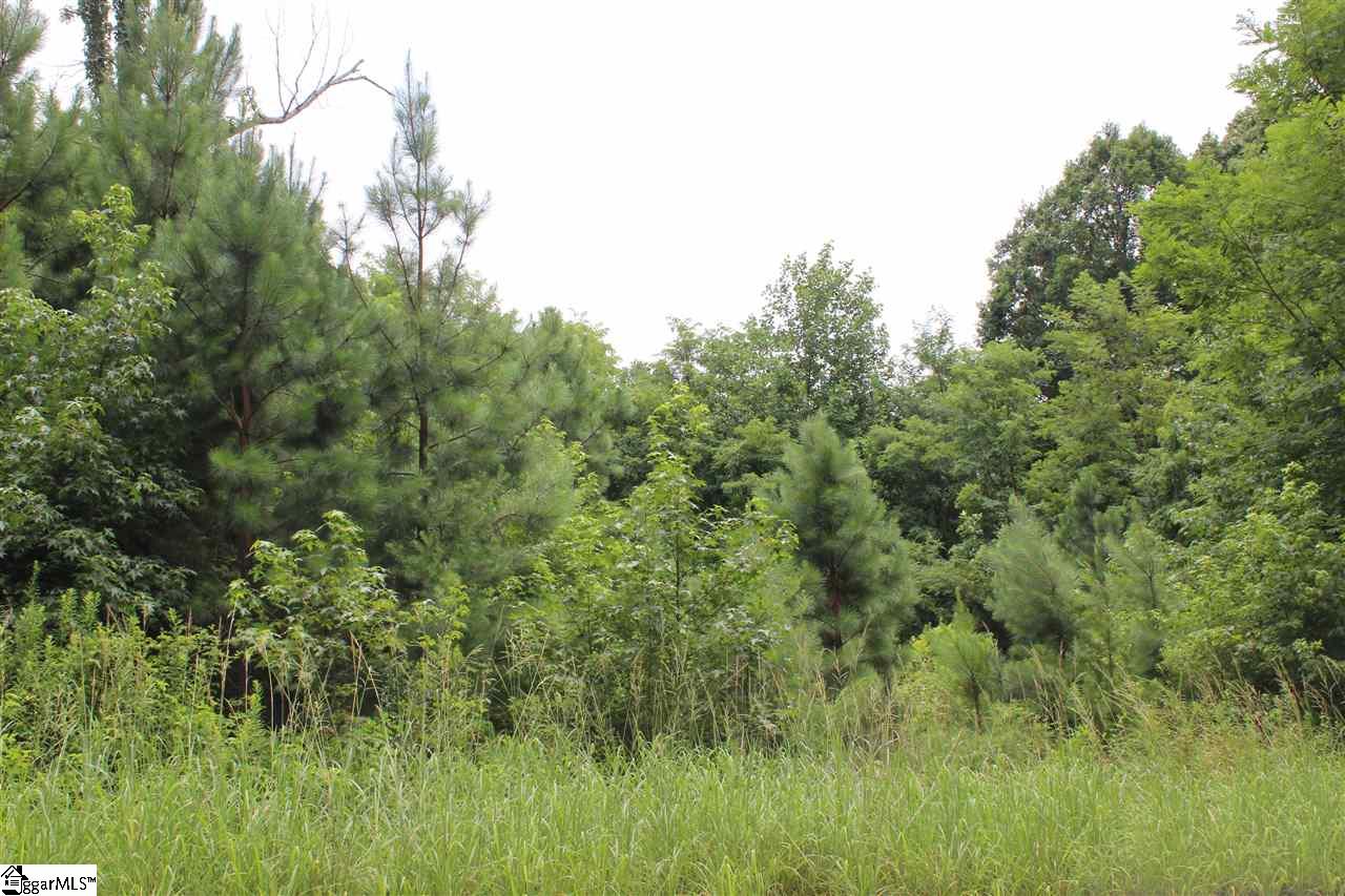 Property image 1 at 134 Club View Drive, Greenville, SC 29609