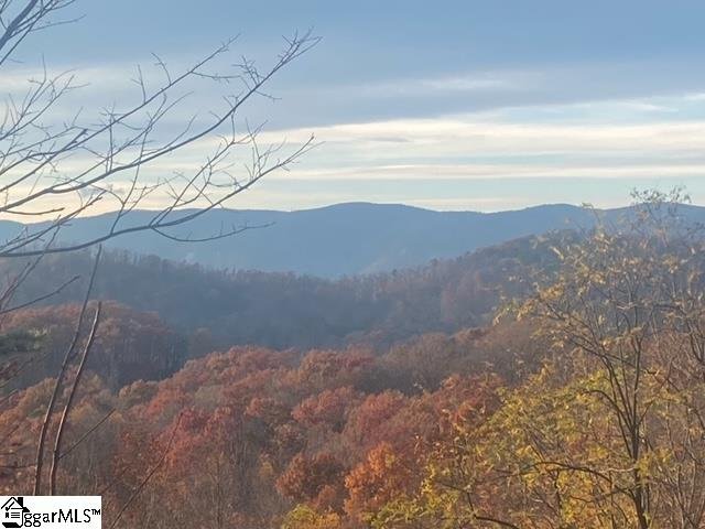 Property at 181 Crowne Hill Way, Marietta, SC 29661