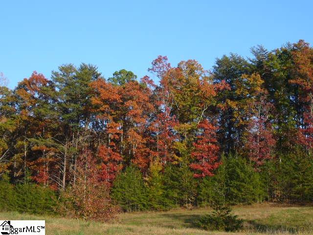 Property image 1 at 109 Cabernet Way, Travelers Rest, SC 29690