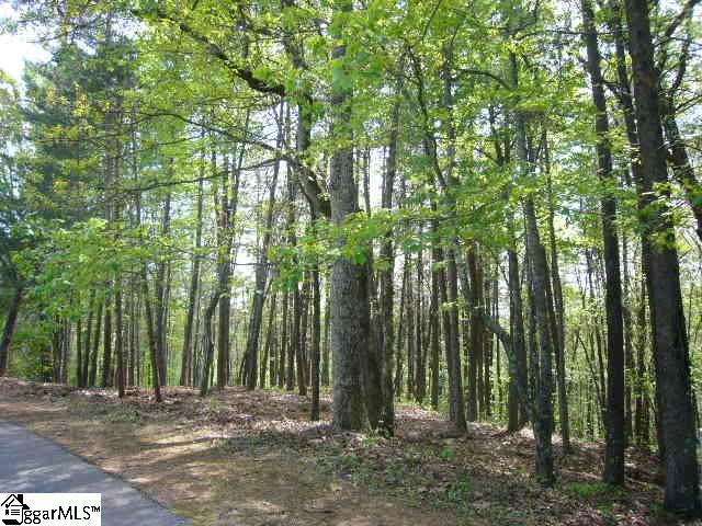 Property image 1 at 22 Rhone Valley Lane, Travelers Rest, SC 29690