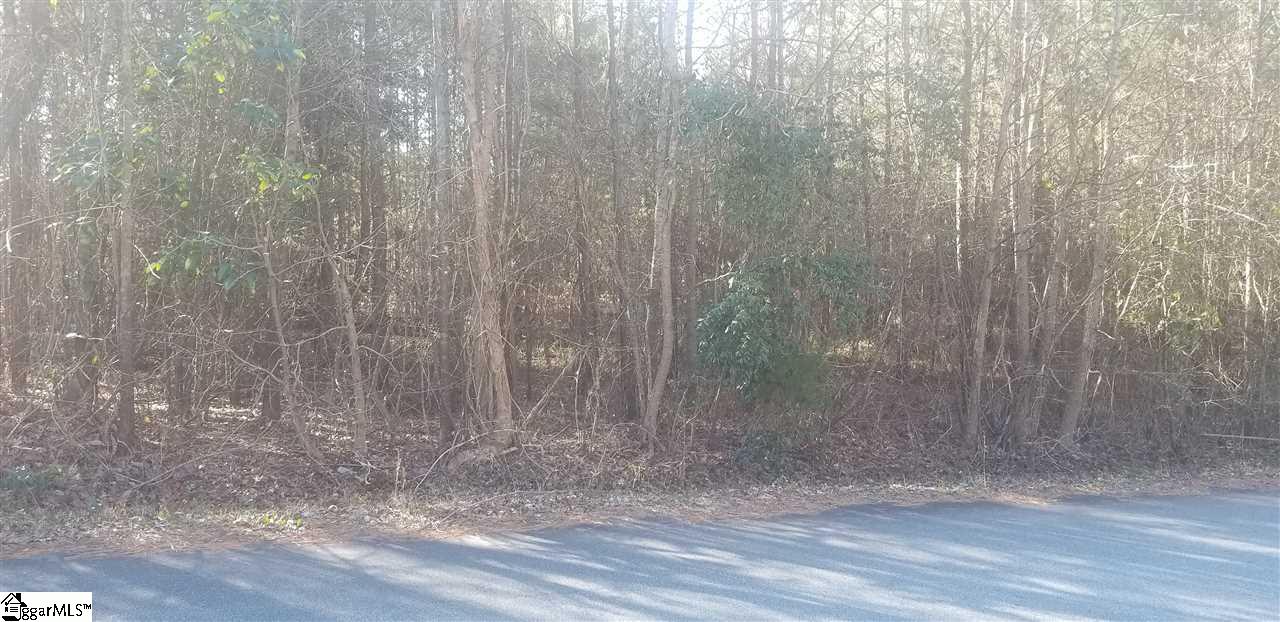 Property image 1 at 101 S Valley Lane, Greenville, SC 29611