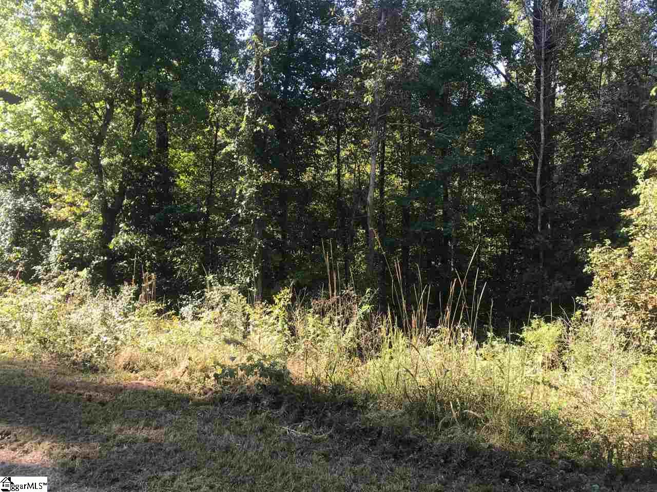 Property image 1 at South Davis Drive, Fair Play, SC 29643