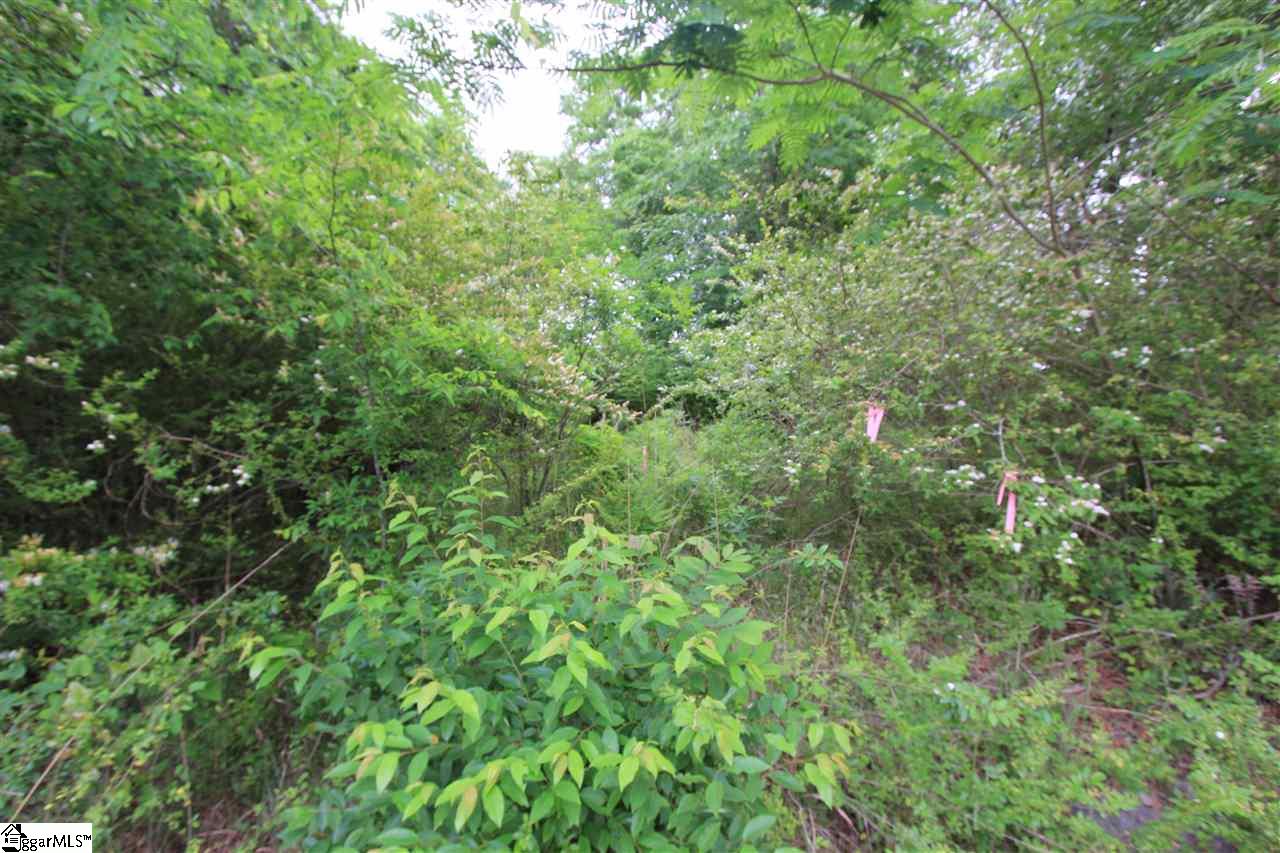 Property image 1 at Hawthorne Avenue, Woodruff, SC 29388