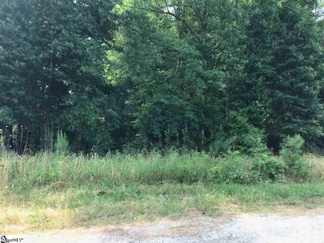 Property image 1 at 00 Airline Drive, Greenville, SC 29605