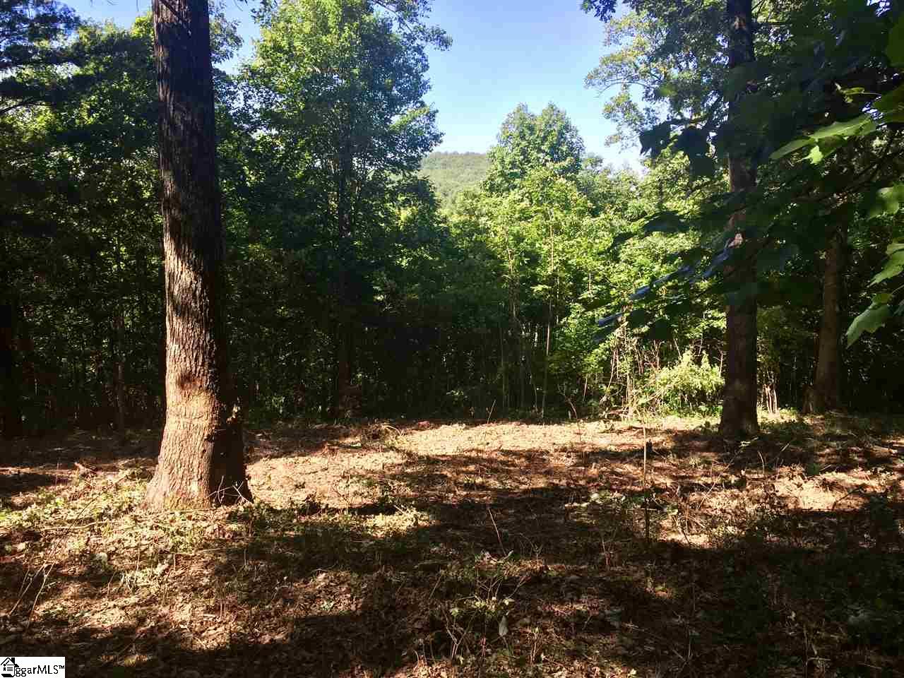 Property at 28 Wild Ginger Road, Landrum, SC 29356