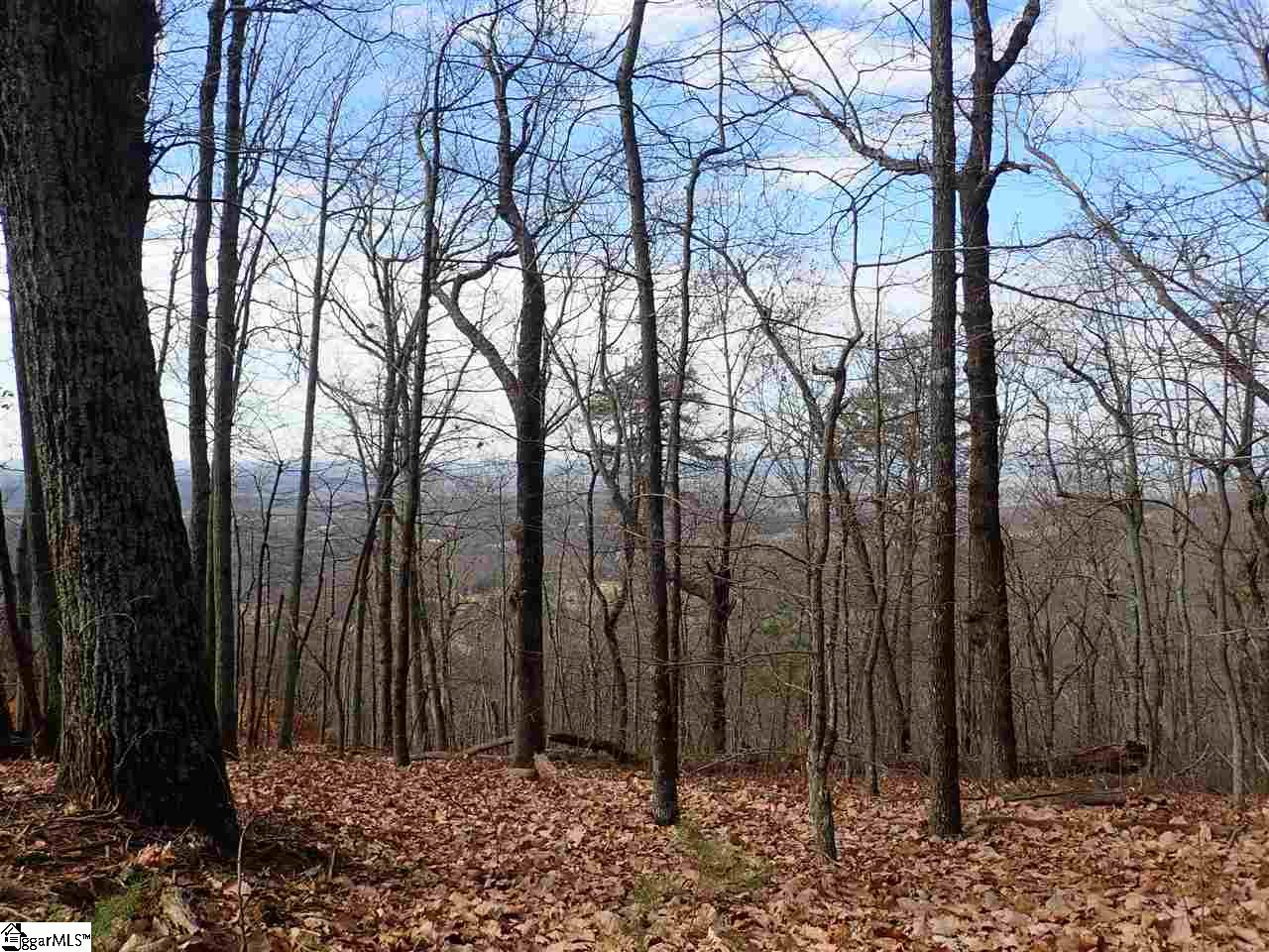 Property image 1 at 00 Altamont Road, Greenville, SC 29609