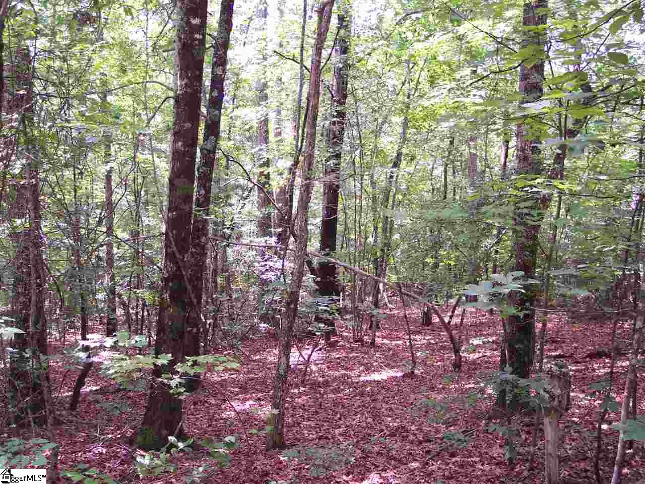 Property image 1 at 00 Shepherd Springs Drive, Cleveland, SC 29635