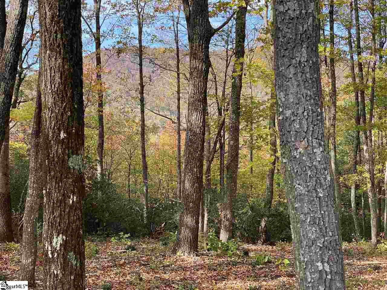 Property at 1526 Panther Park Trail, Travelers Rest, SC 29690