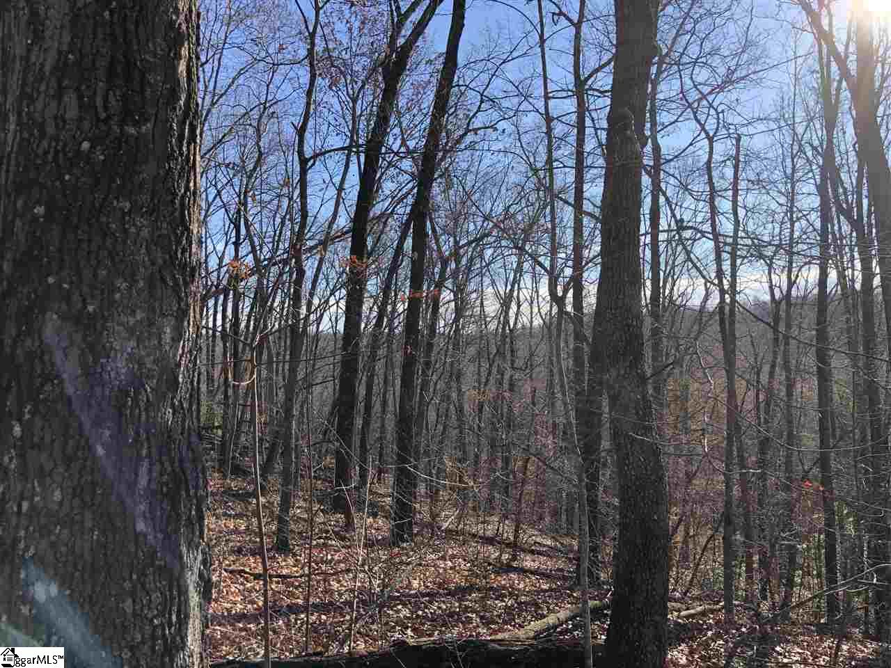 Property image 1 at 5 Rhone Valley Lane, Travelers Rest, SC 29690