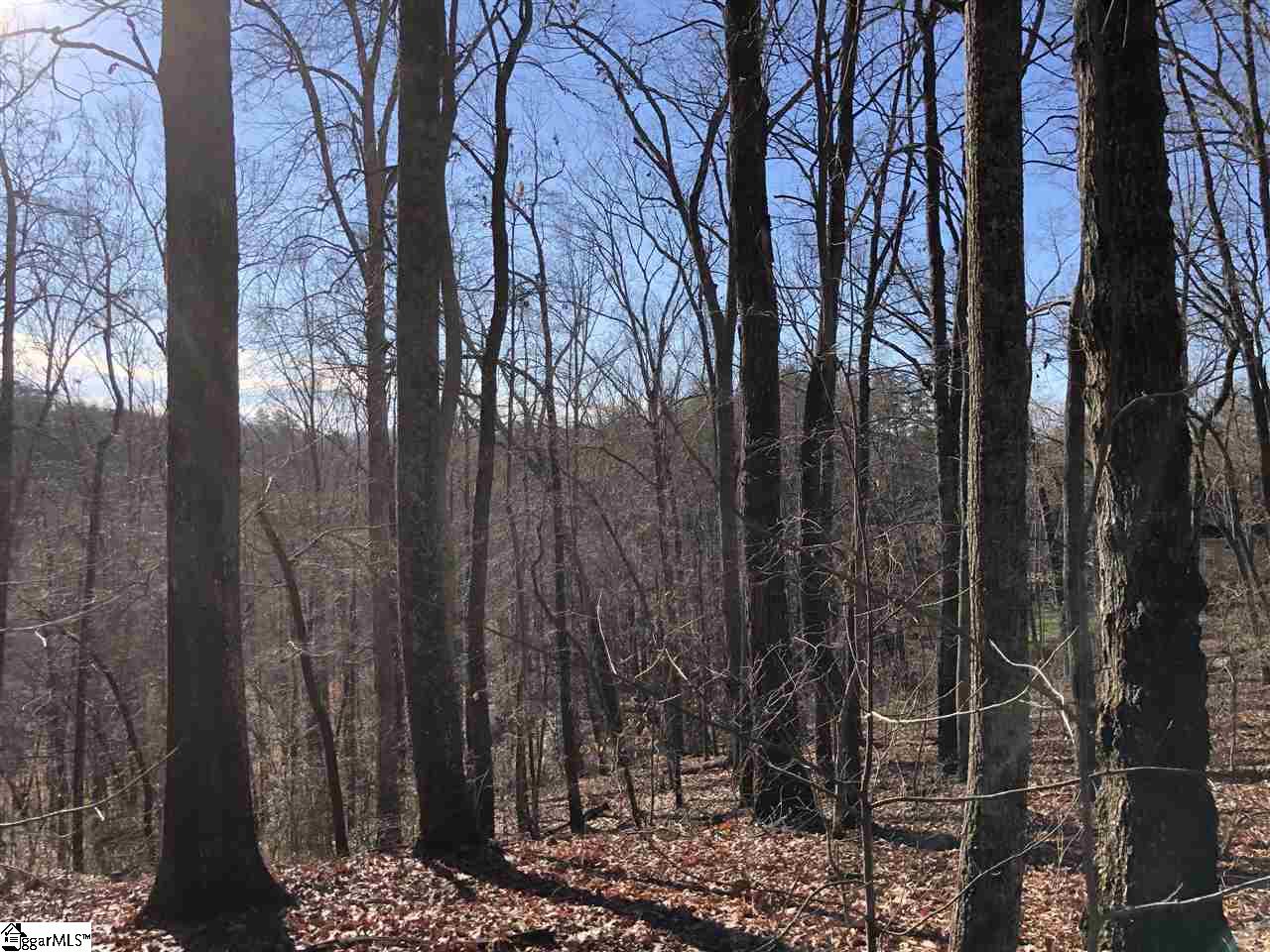 Property image 1 at 9 Rhone Valley Lane, Travelers Rest, SC 29690