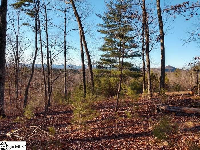 Property image 1 at 207 Sawyer Lane, Pickens, SC 29671