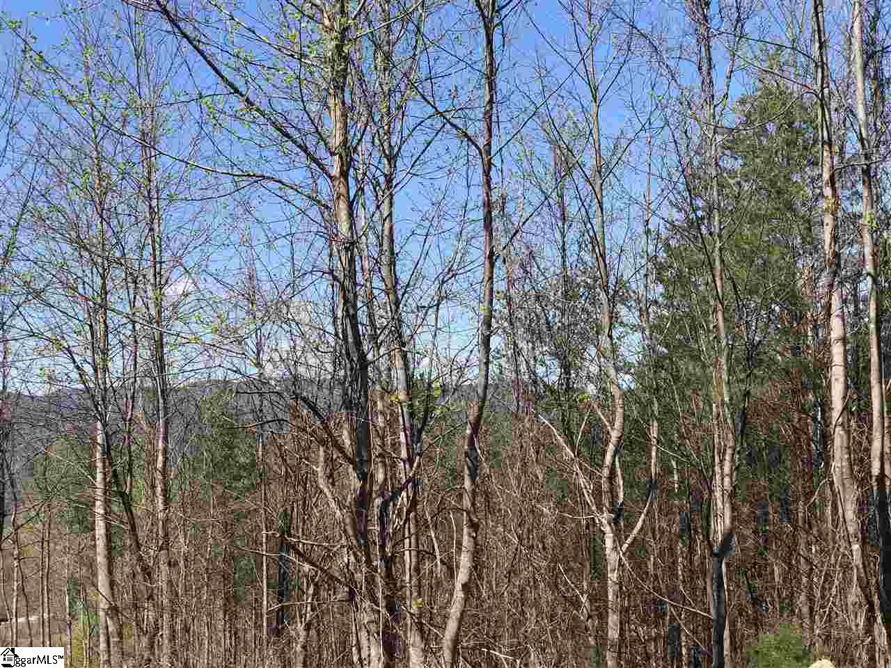 Property image 1 at 15 Clermont Court, Travelers Rest, SC 29690