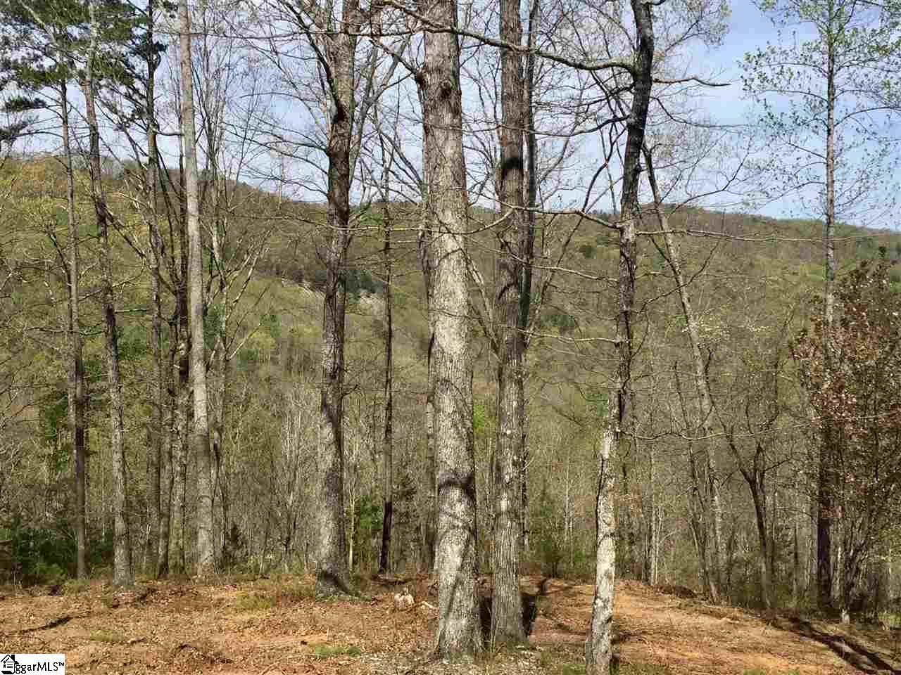 Property image 1 at 409 Augusta Links Trail, Travelers Rest, SC 29690