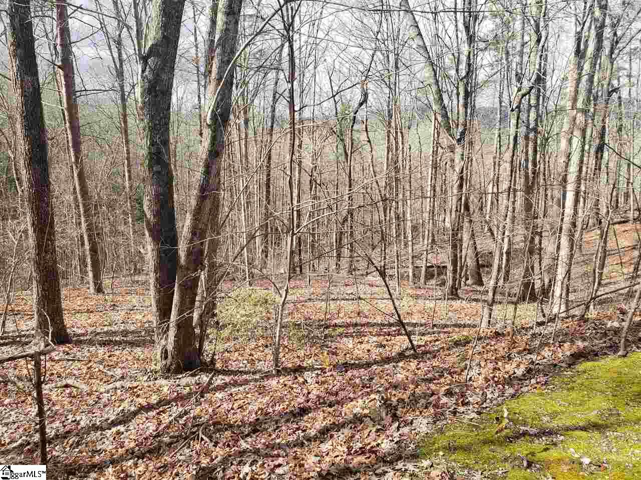 Property image 1 at 242 Luberon Lane, Travelers Rest, SC 29690