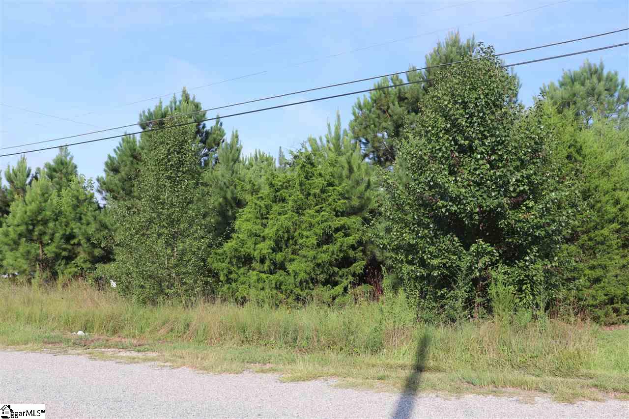 Property image 1 at 101 Blakely Avenue, Laurens, SC 29360